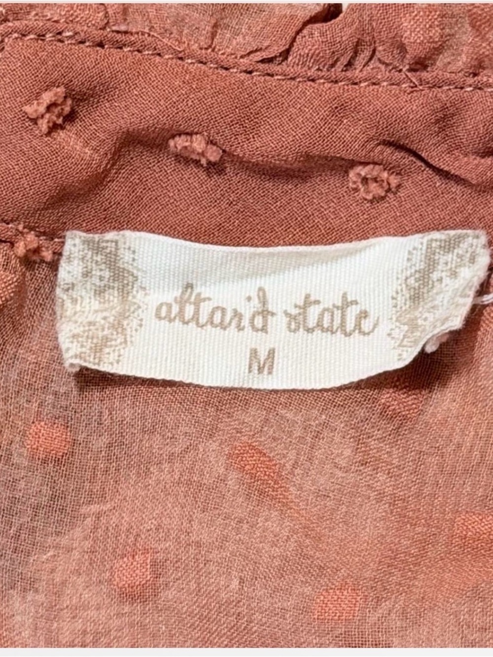 Altar'd State Rust Swiss Dot Ruffled Neck Blouse - Picture 3 of 4